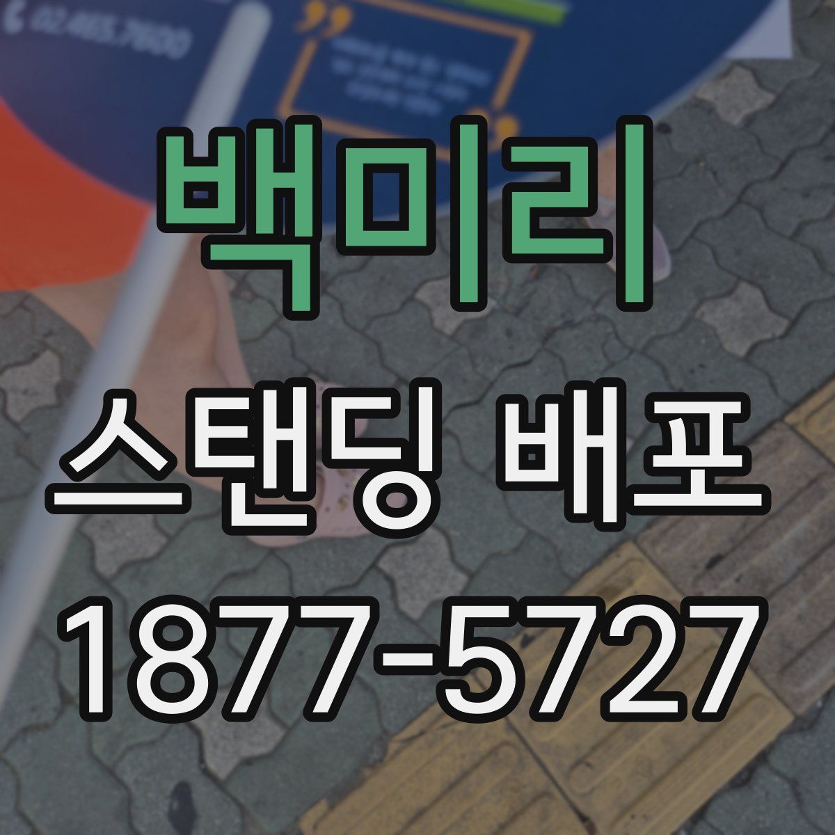 백미리 스탠딩 배포