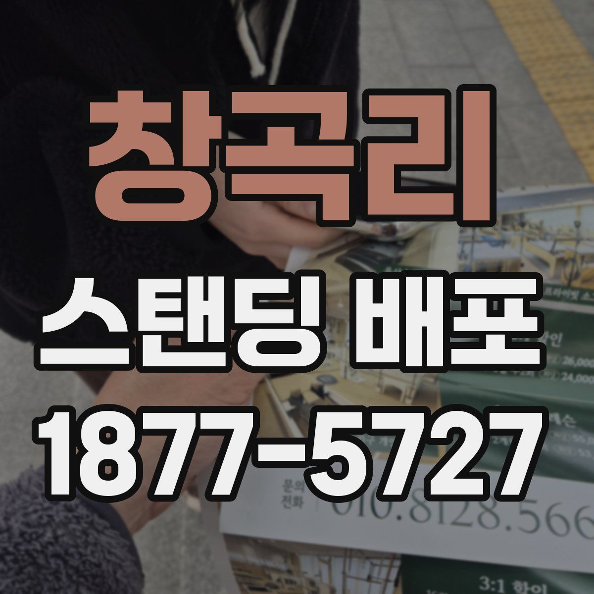 창곡리 스탠딩 배포