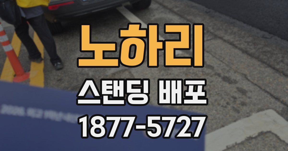 노하리 스탠딩 배포