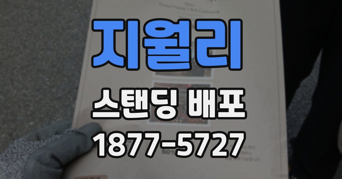 지월리 스탠딩 배포