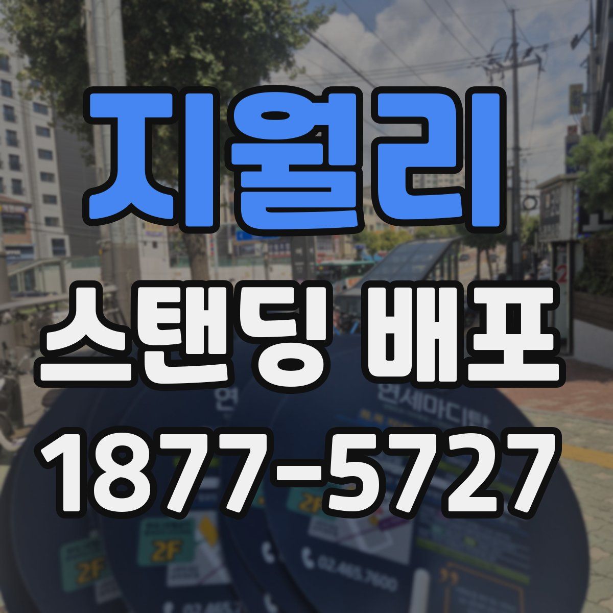 지월리 스탠딩 배포