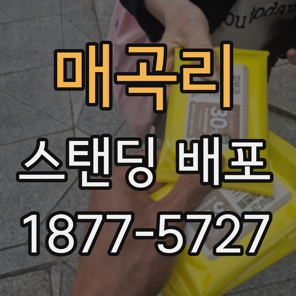 매곡리 스탠딩 배포