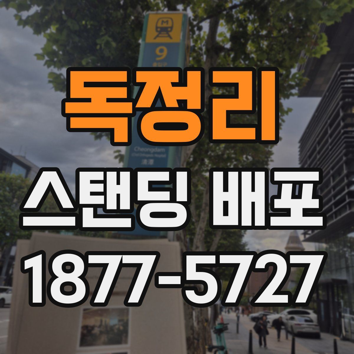 독정리 스탠딩 배포