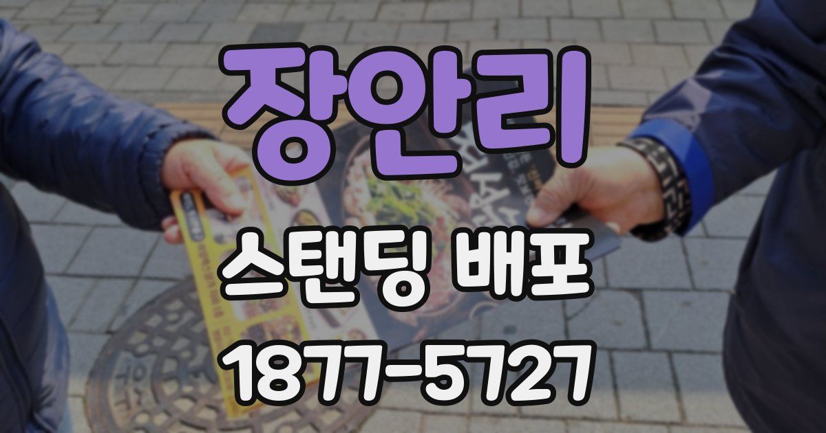 장안리 스탠딩 배포