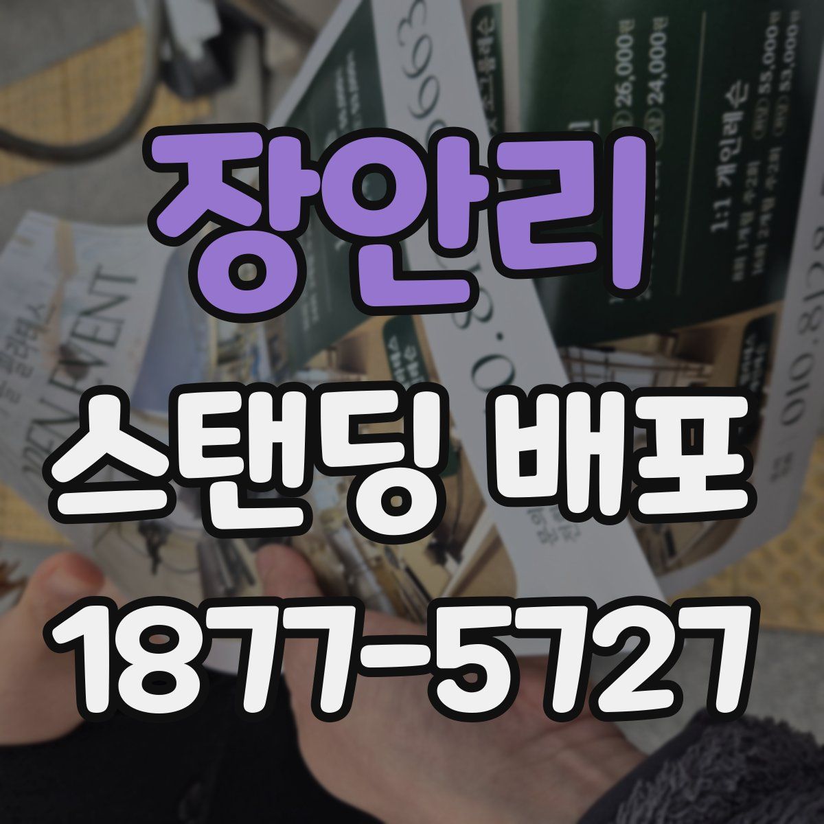 장안리 스탠딩 배포