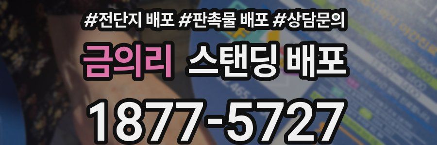 금의리 스탠딩 배포