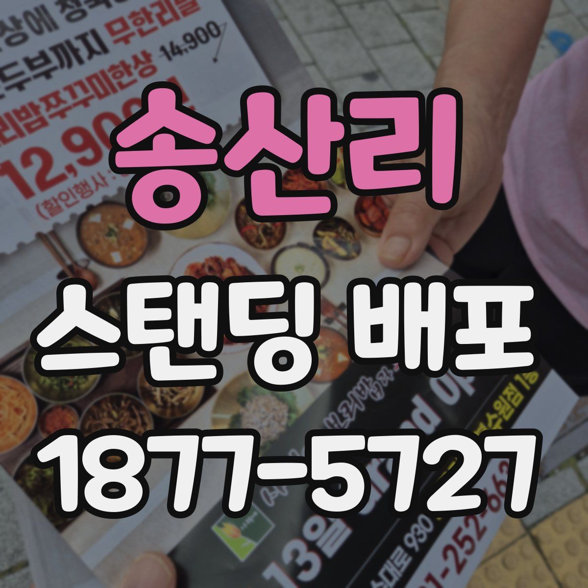송산리 스탠딩 배포