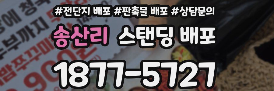 송산리 스탠딩 배포
