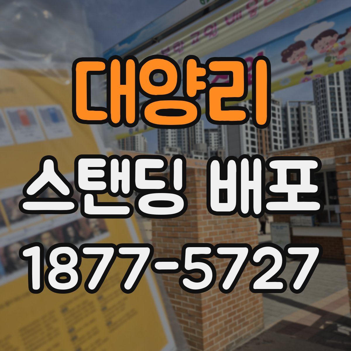 대양리 스탠딩 배포