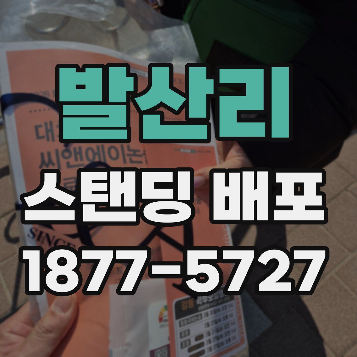 발산리 스탠딩 배포