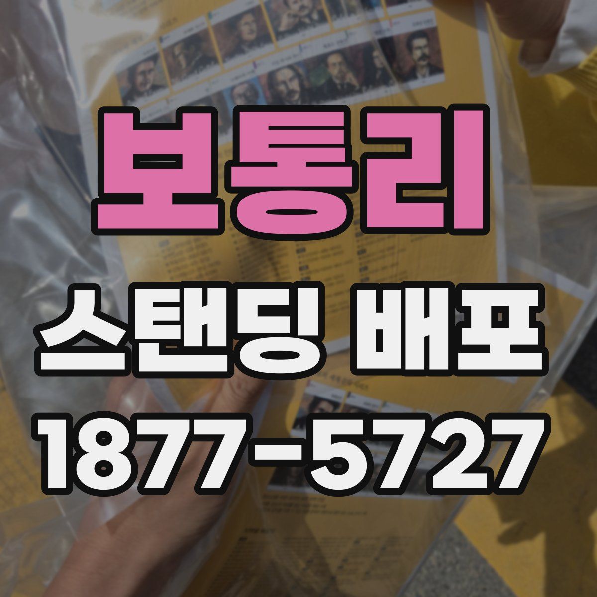 보통리 스탠딩 배포