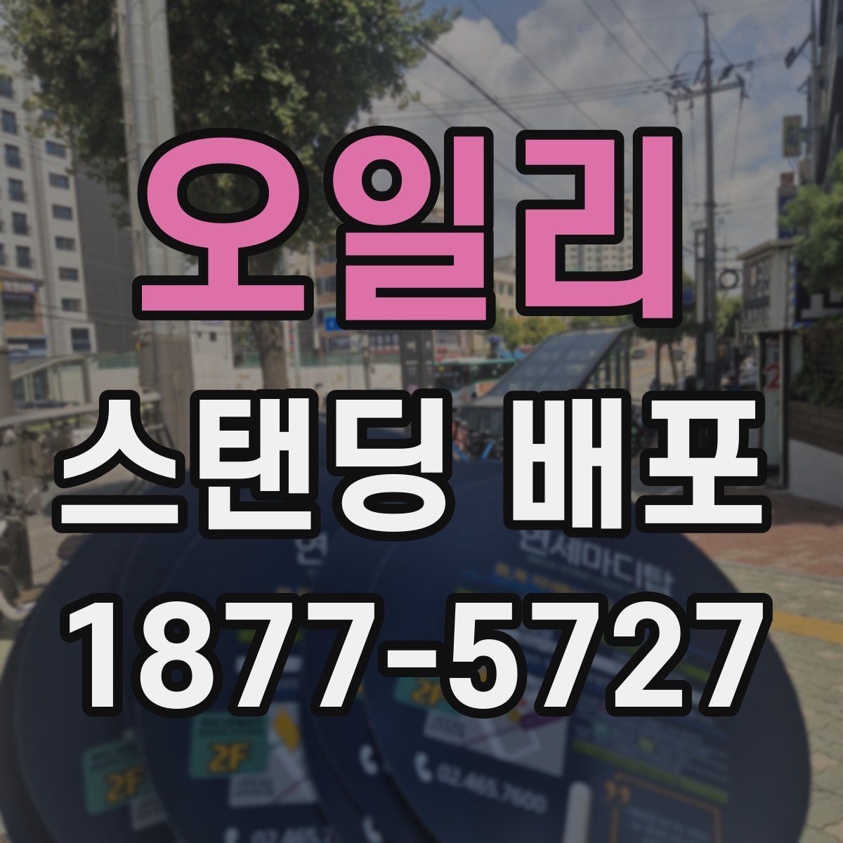 오일리 스탠딩 배포