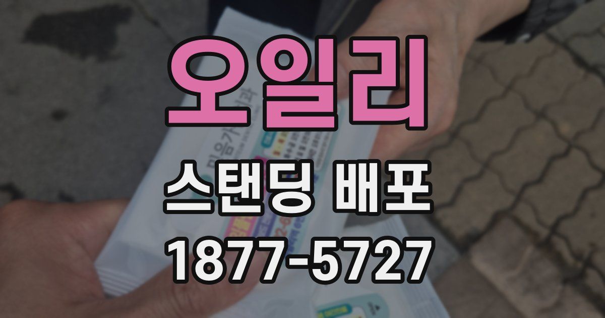 오일리 스탠딩 배포