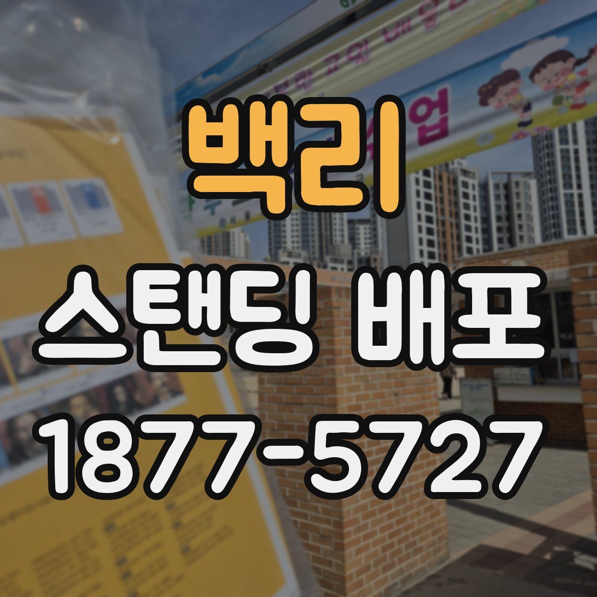 백리 스탠딩 배포