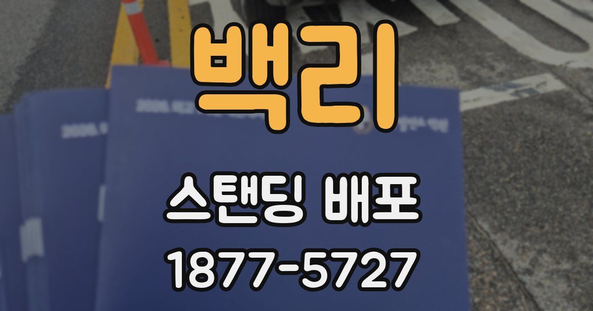 백리 스탠딩 배포