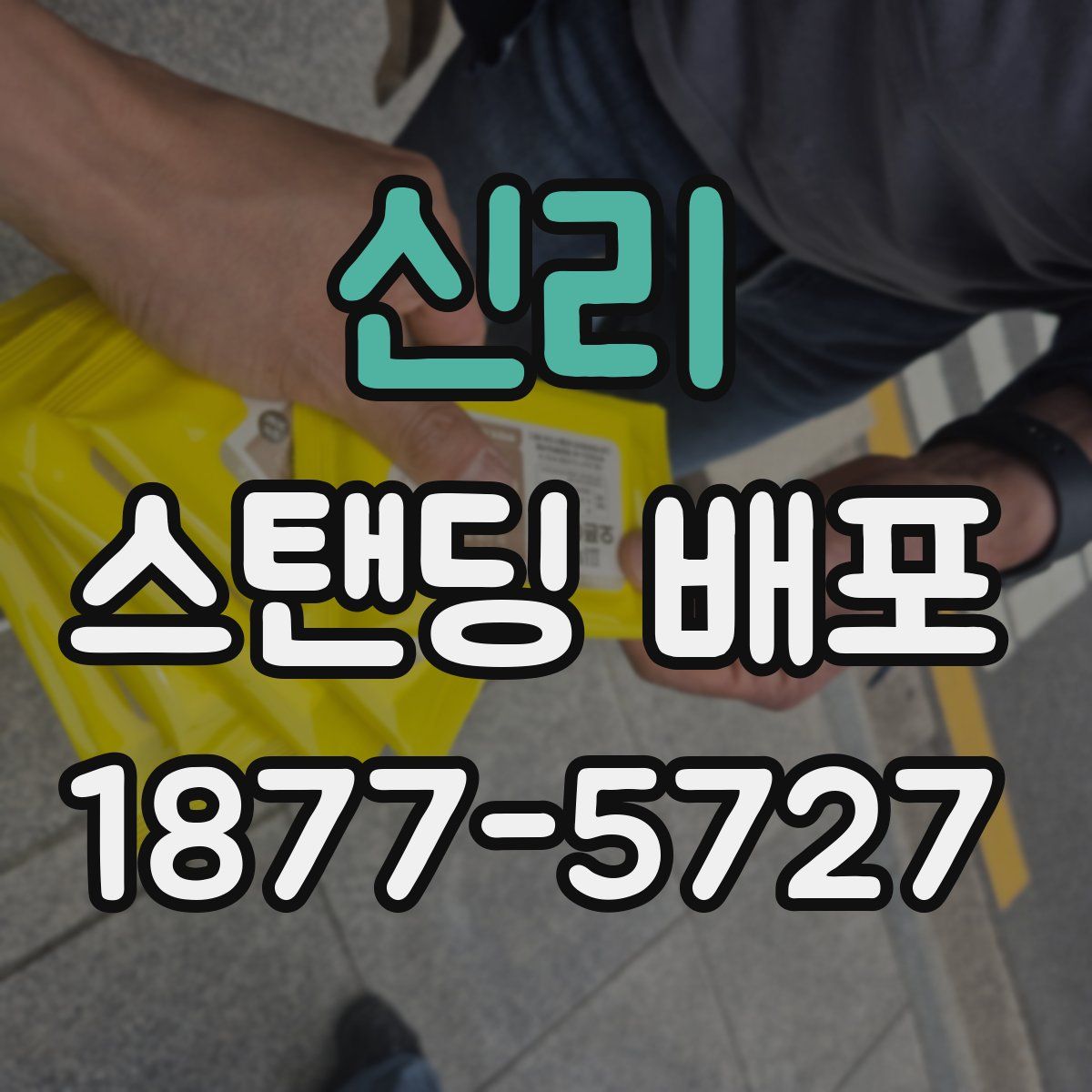 신리 스탠딩 배포