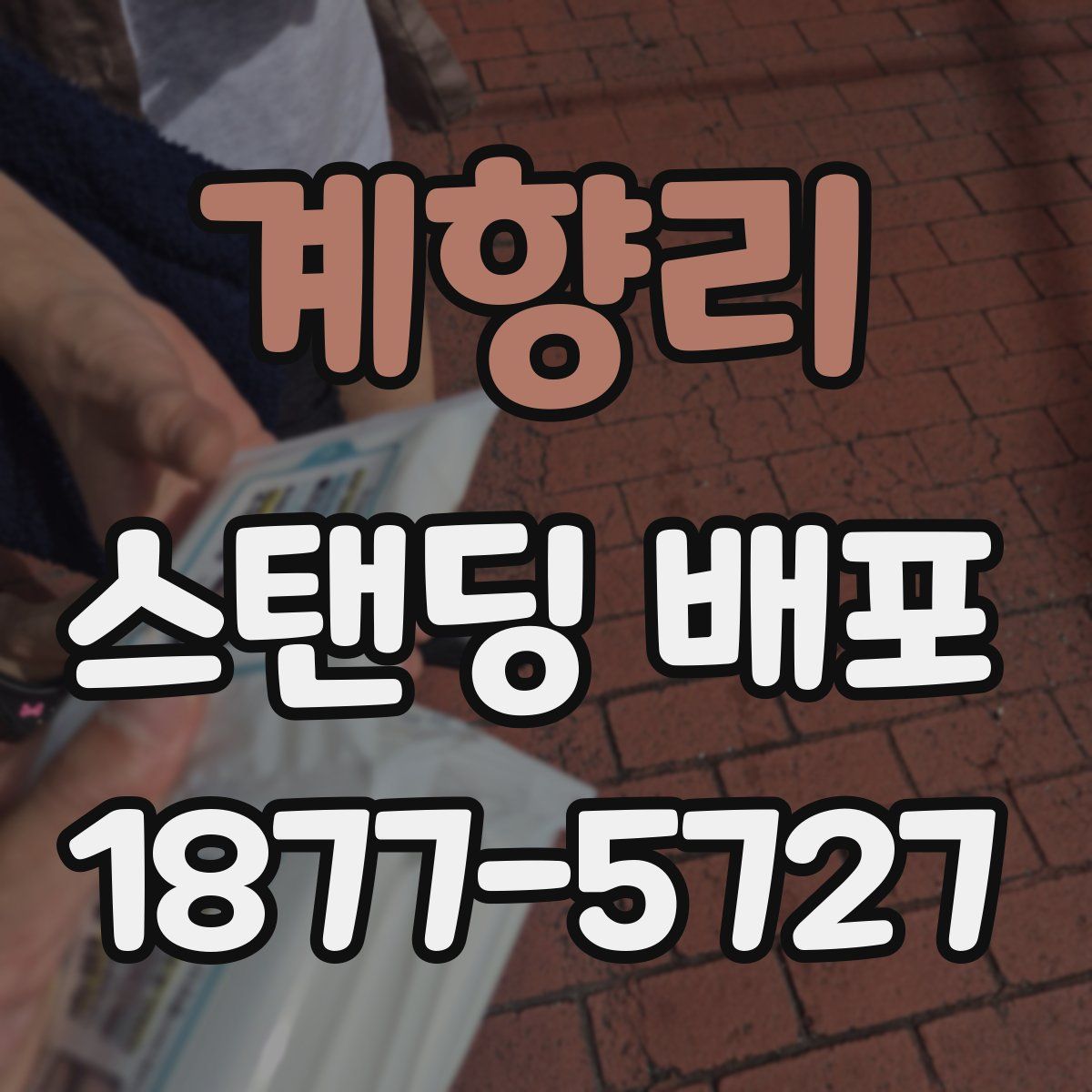 계향리 스탠딩 배포