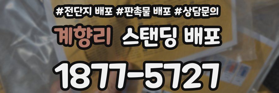 계향리 스탠딩 배포