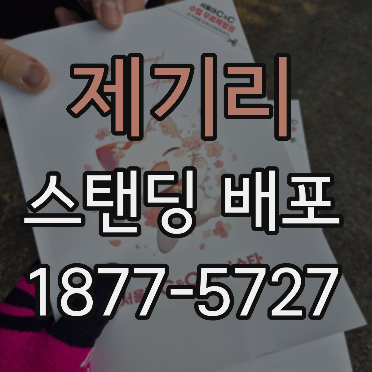 제기리 스탠딩 배포