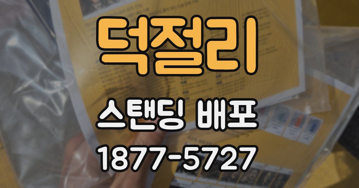 덕절리 스탠딩 배포