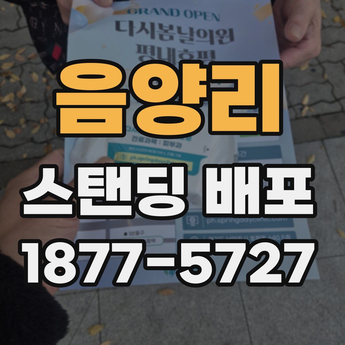음양리 스탠딩 배포