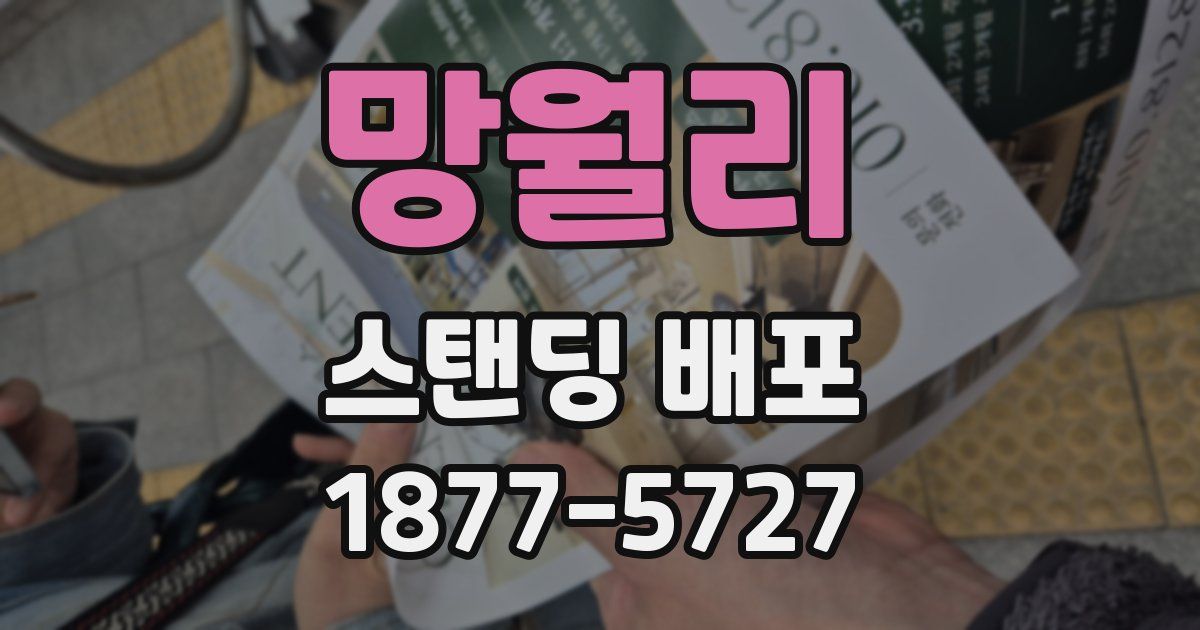 망월리 스탠딩 배포