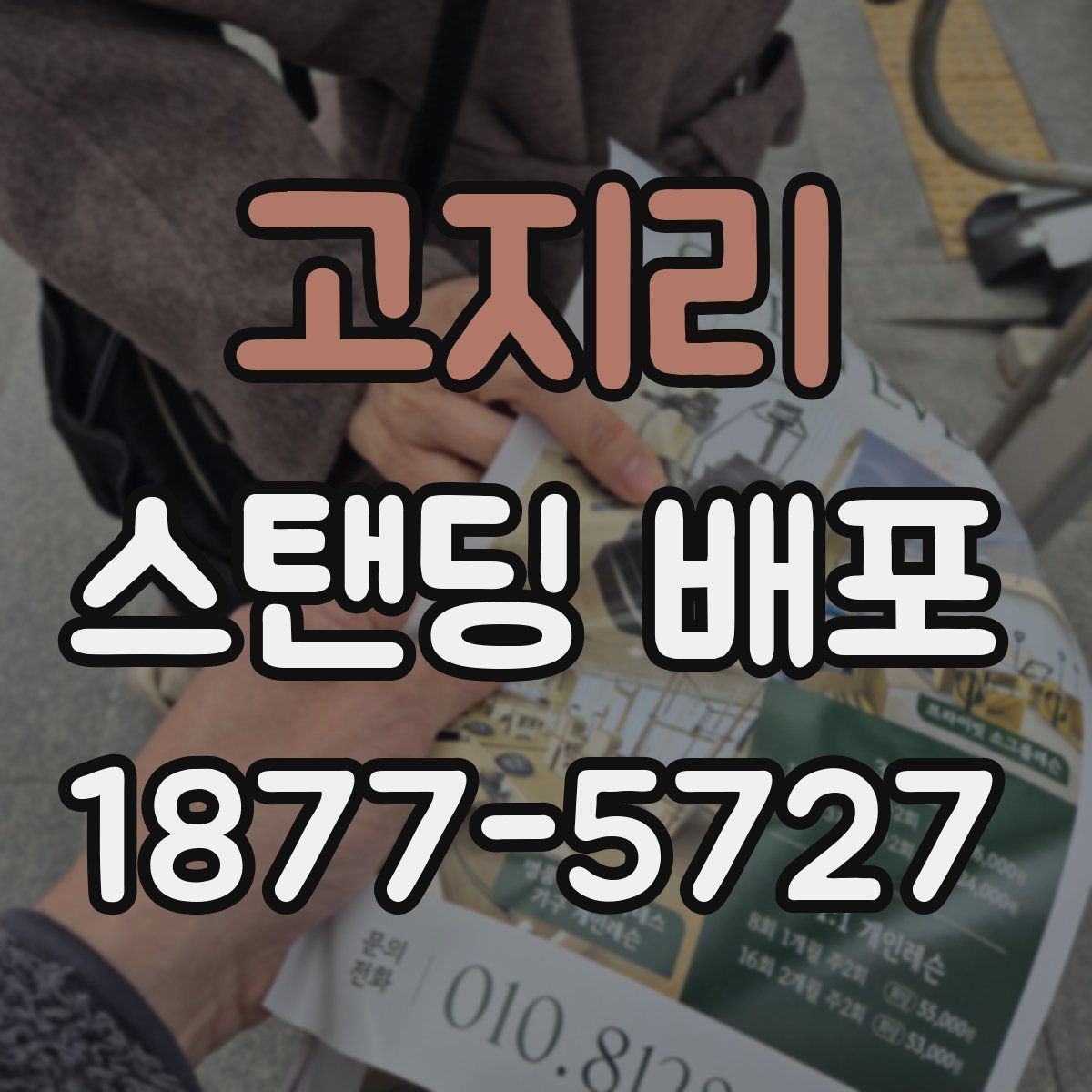 고지리 스탠딩 배포