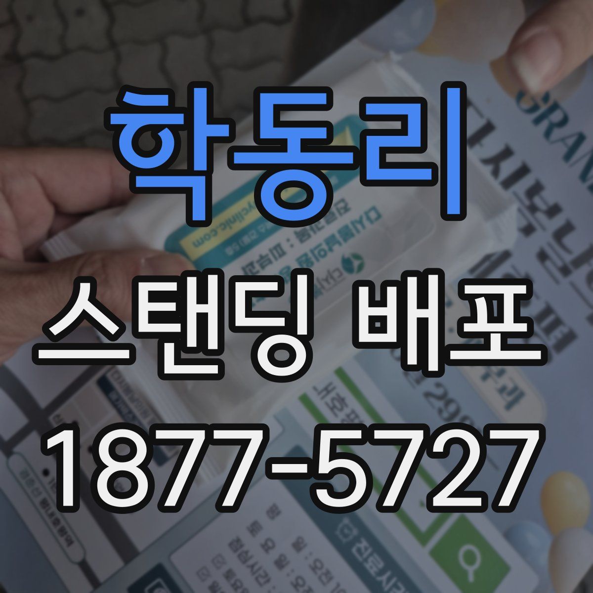 학동리 스탠딩 배포