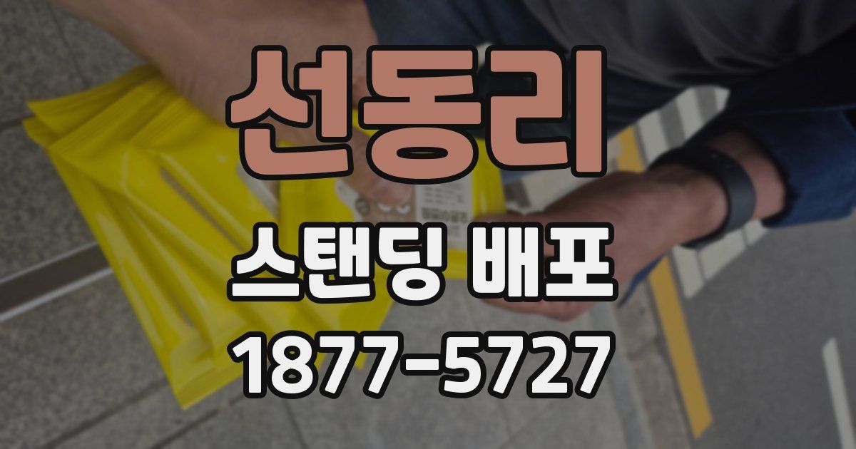선동리 스탠딩 배포