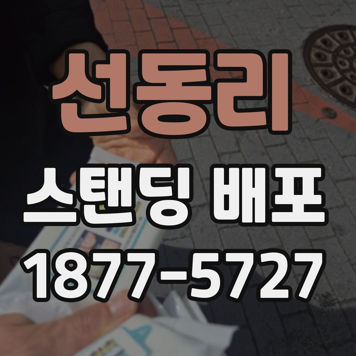 선동리 스탠딩 배포
