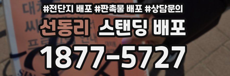 선동리 스탠딩 배포