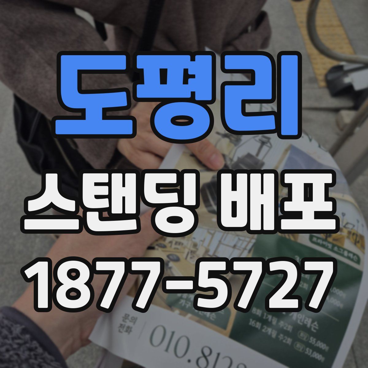 도평리 스탠딩 배포