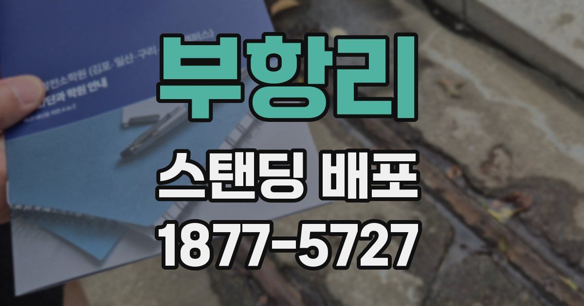 부항리 스탠딩 배포