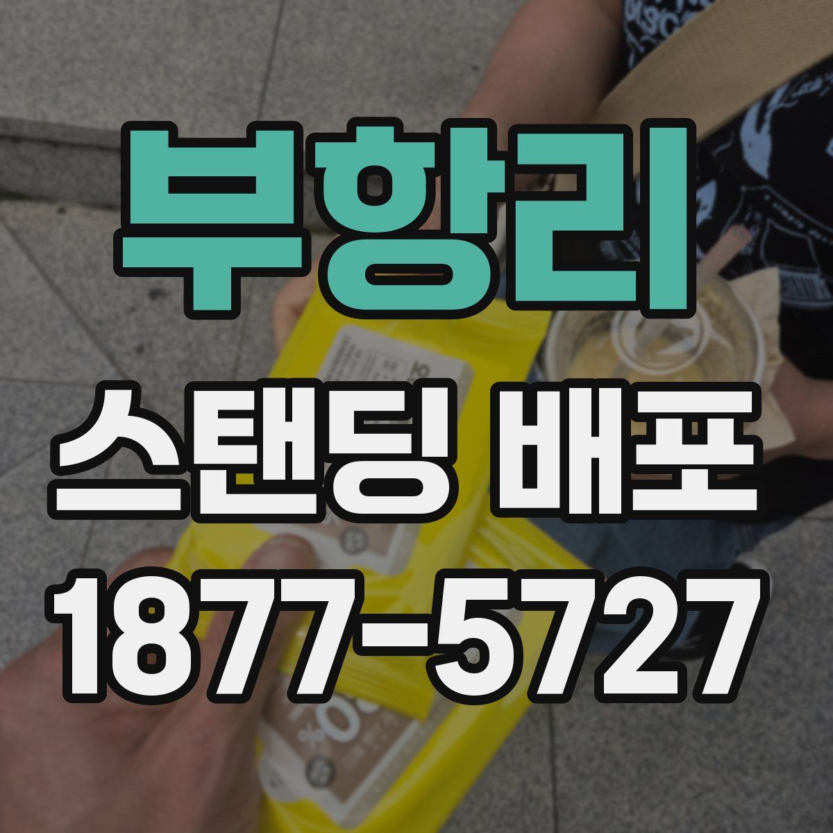 부항리 스탠딩 배포