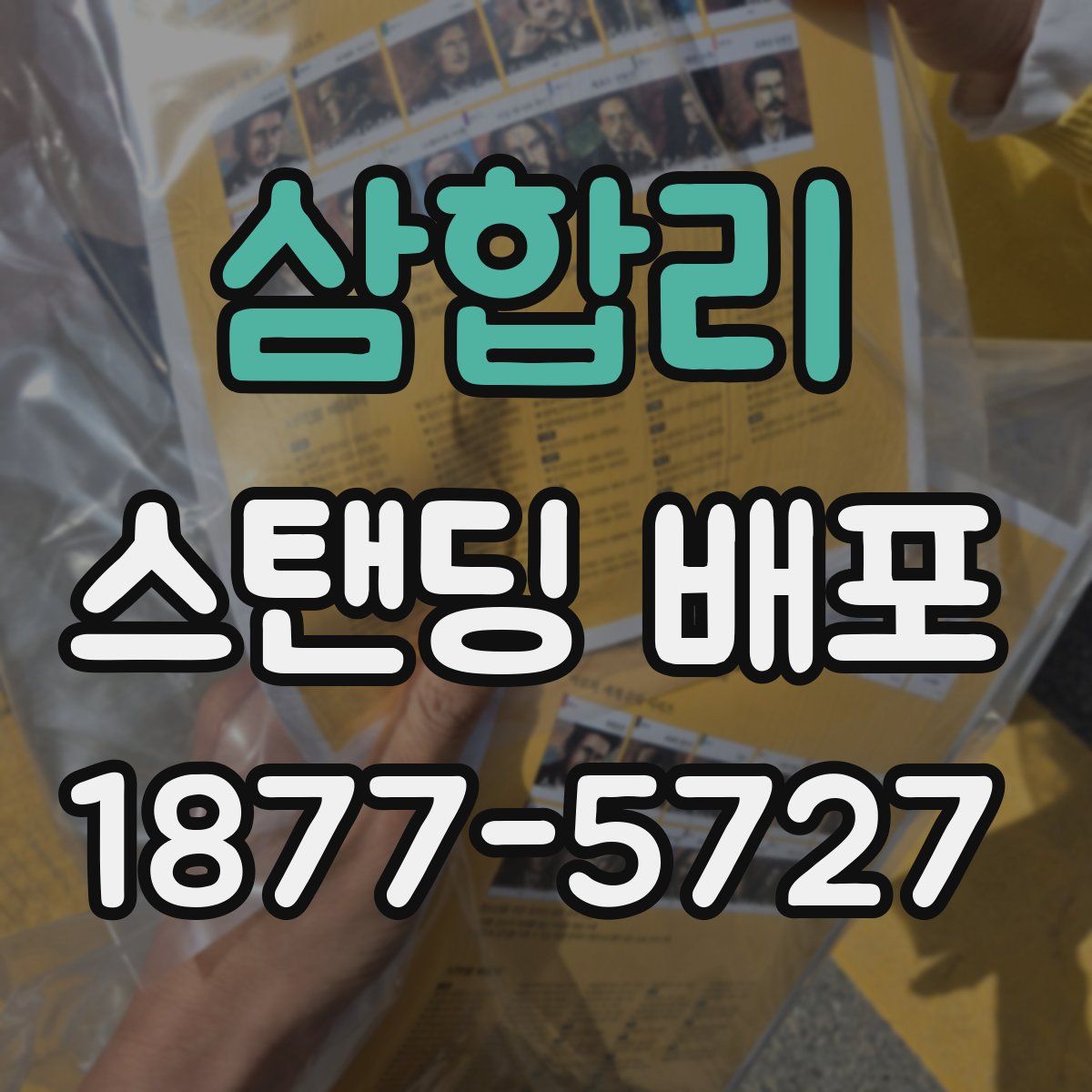 삼합리 스탠딩 배포