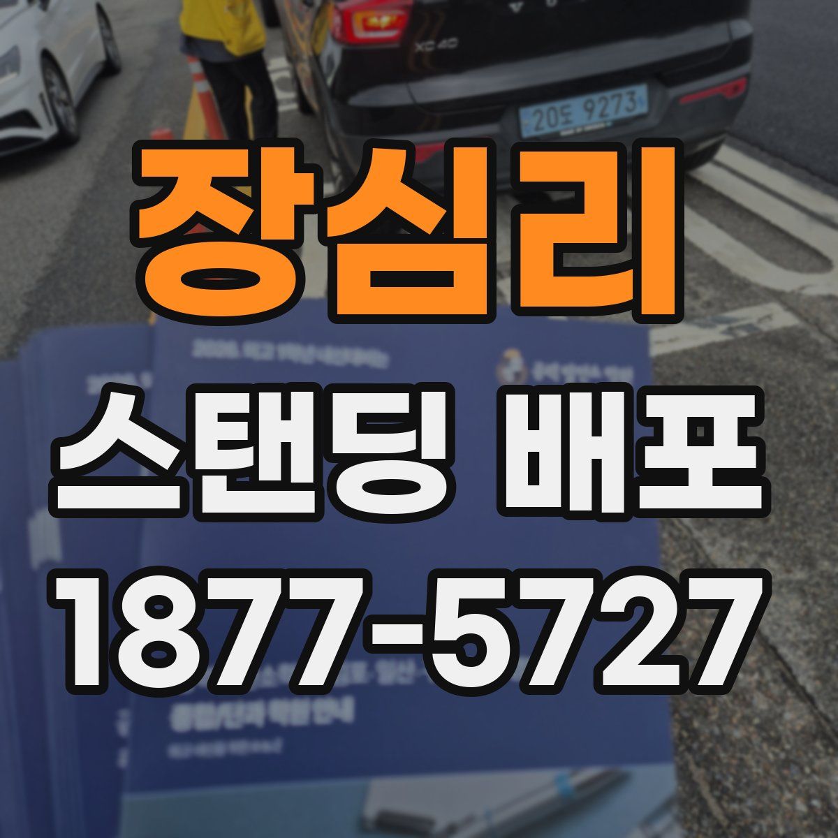 장심리 스탠딩 배포