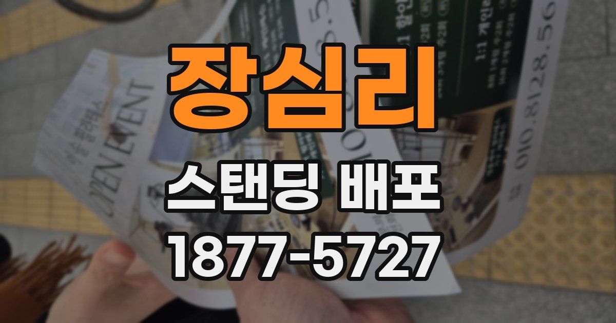 장심리 스탠딩 배포