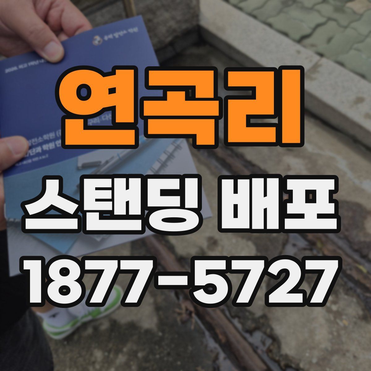 연곡리 스탠딩 배포