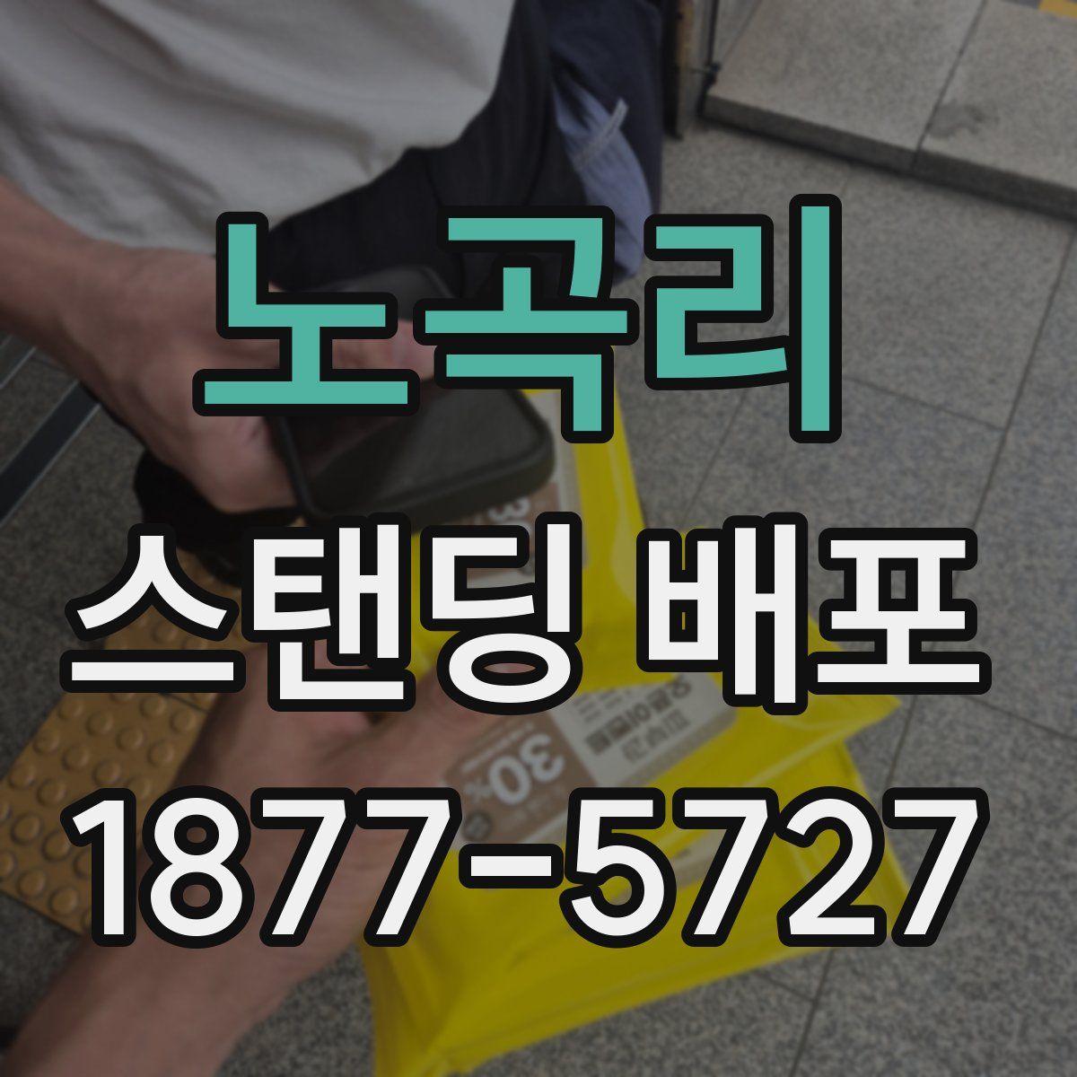 노곡리 스탠딩 배포
