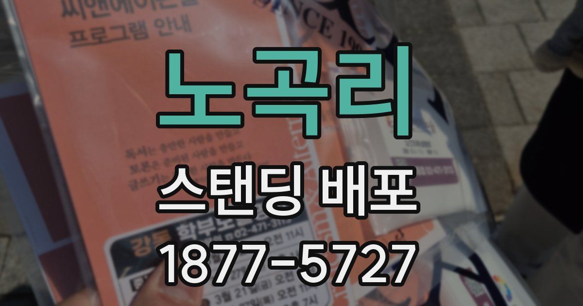 노곡리 스탠딩 배포