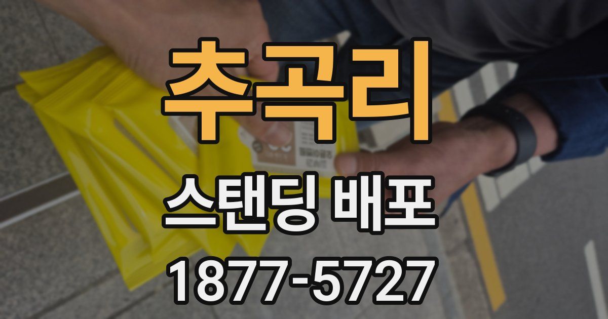 추곡리 스탠딩 배포