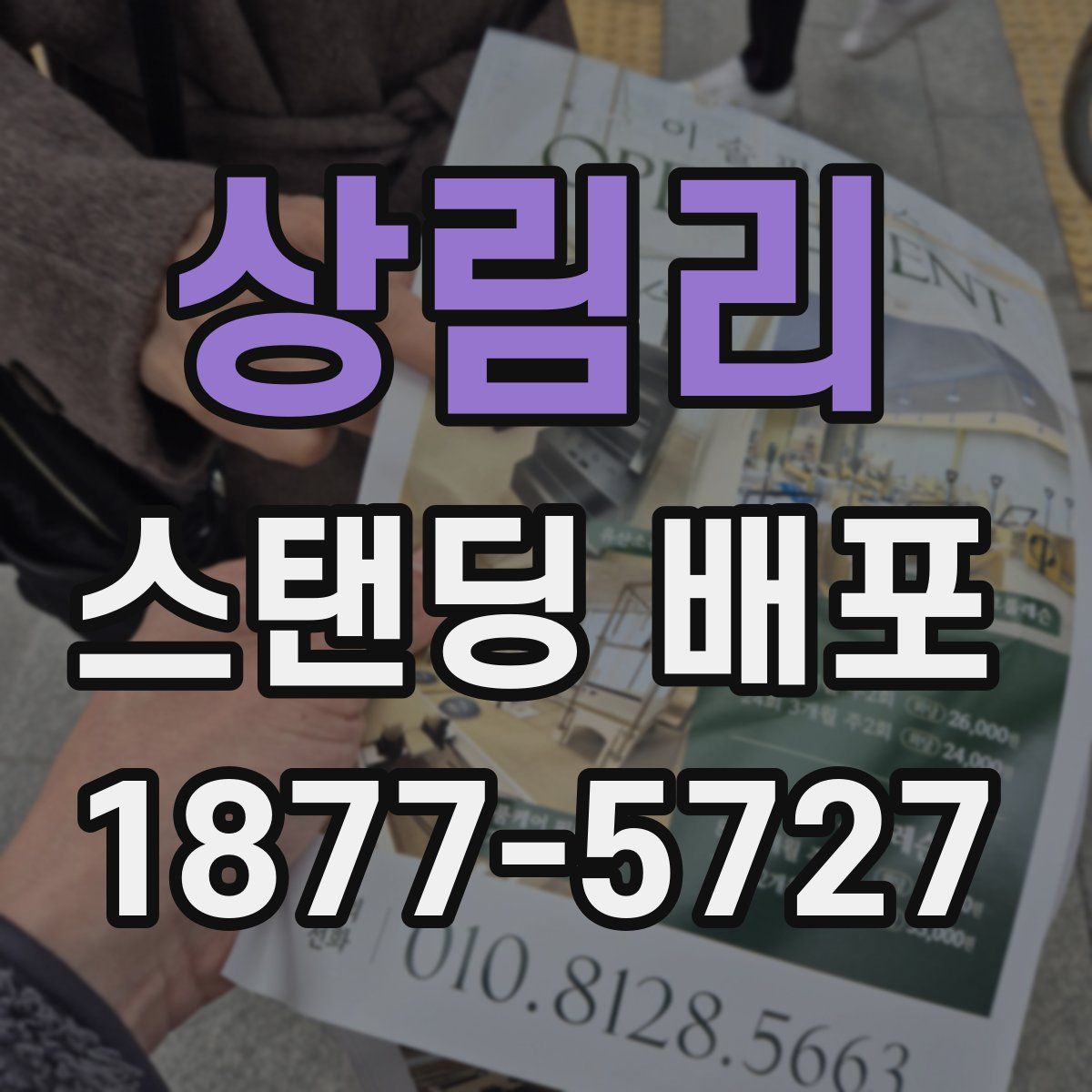 상림리 스탠딩 배포