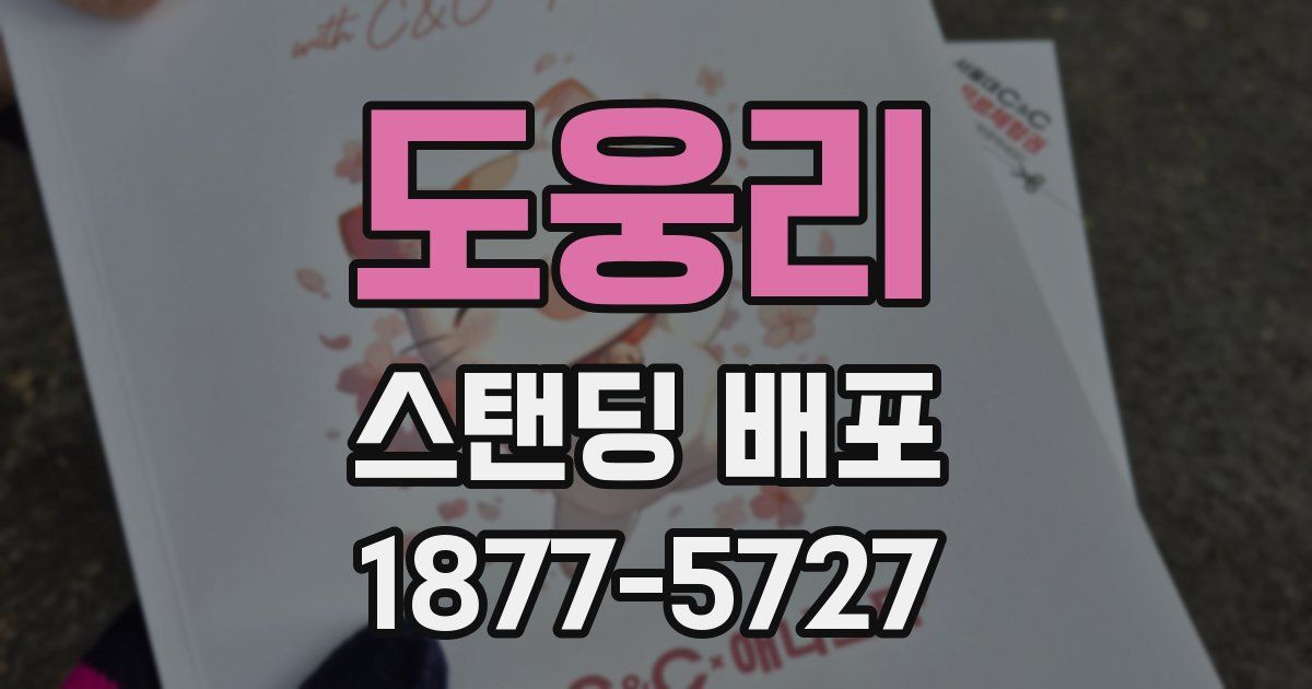 도웅리 스탠딩 배포