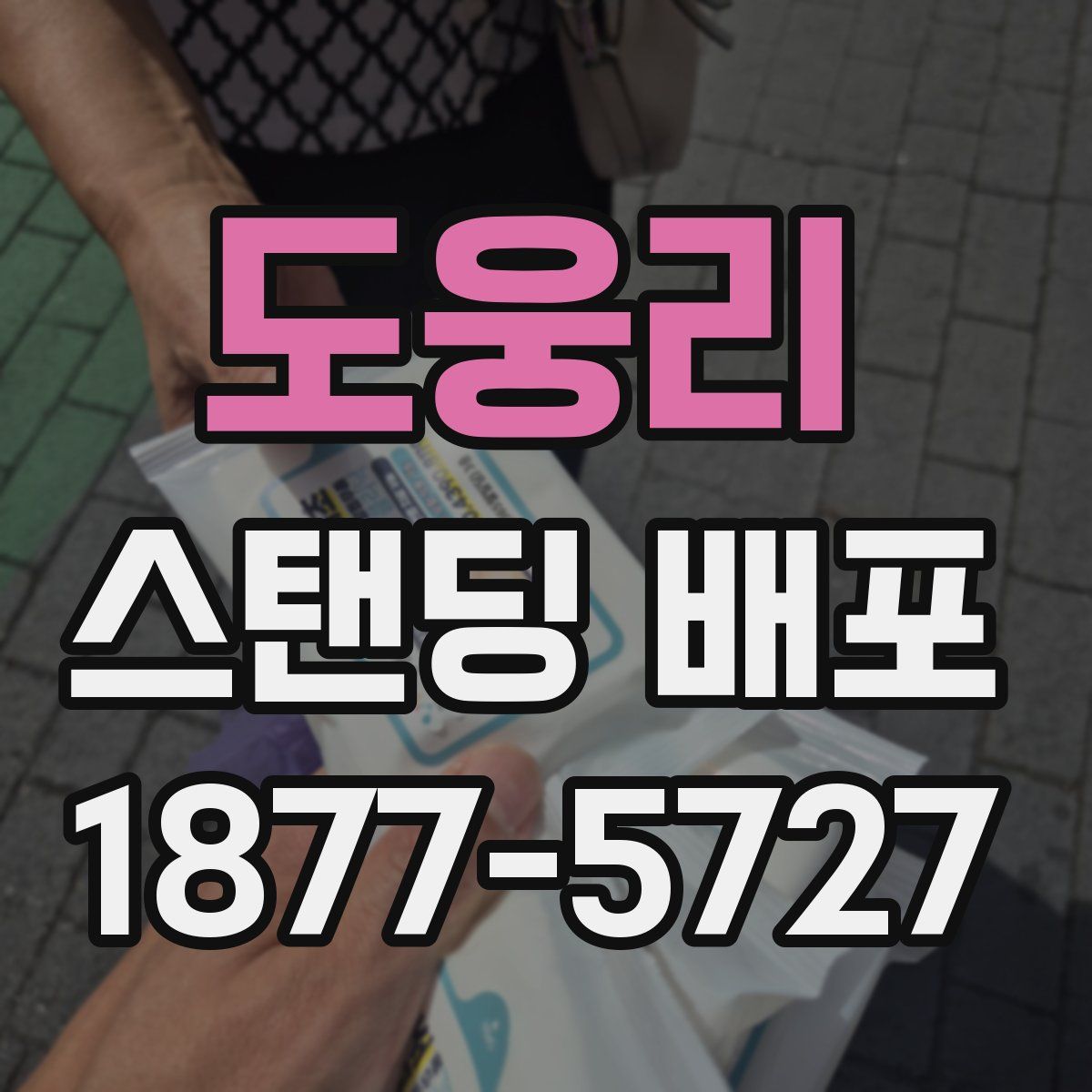 도웅리 스탠딩 배포