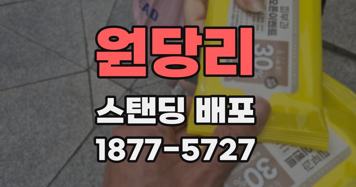 원당리 스탠딩 배포