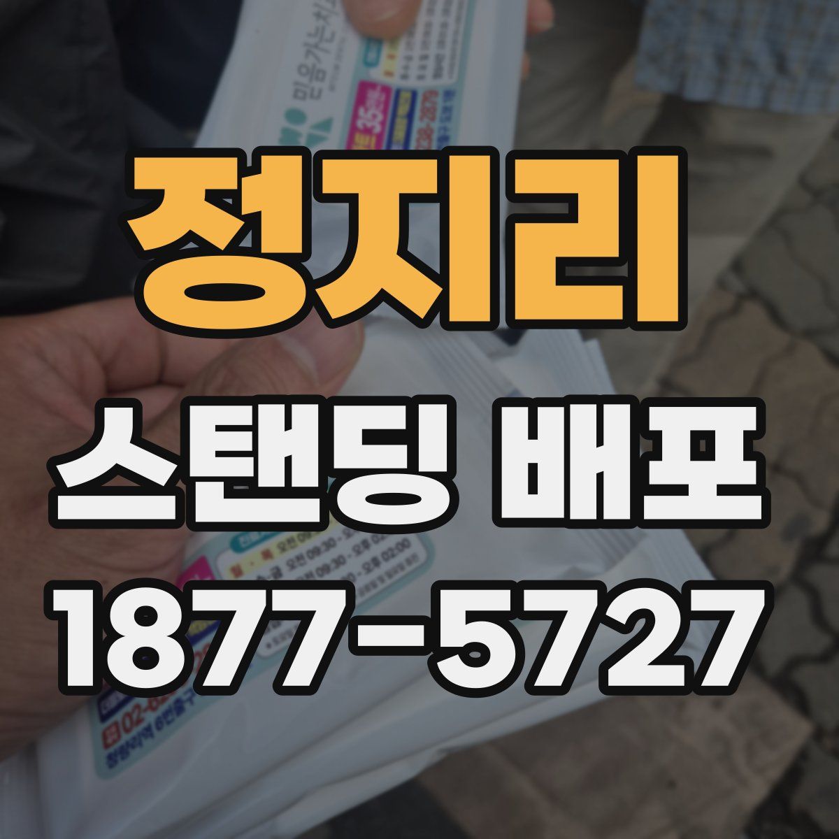 정지리 스탠딩 배포