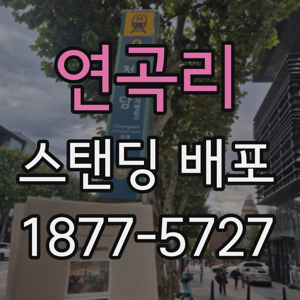 연곡리 스탠딩 배포