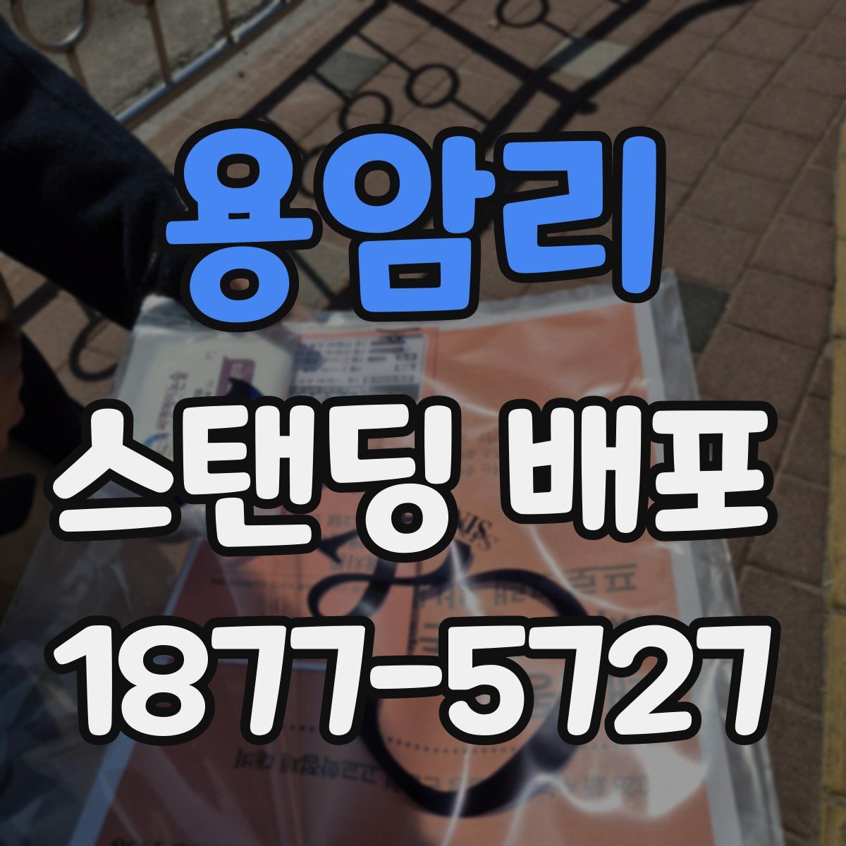용암리 스탠딩 배포