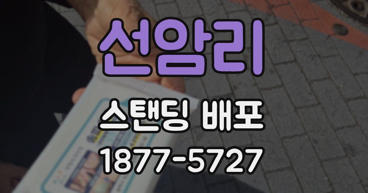 선암리 스탠딩 배포