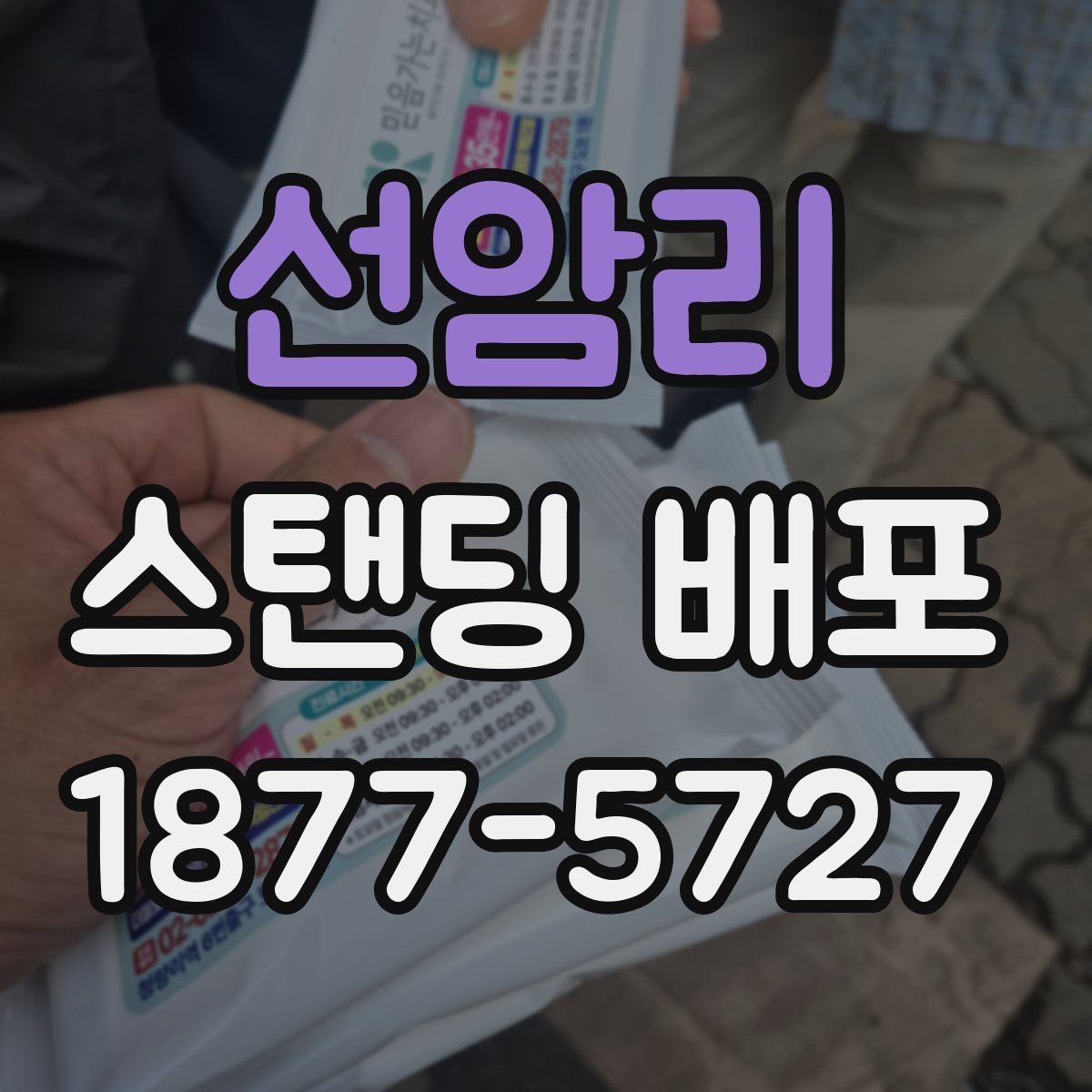 선암리 스탠딩 배포